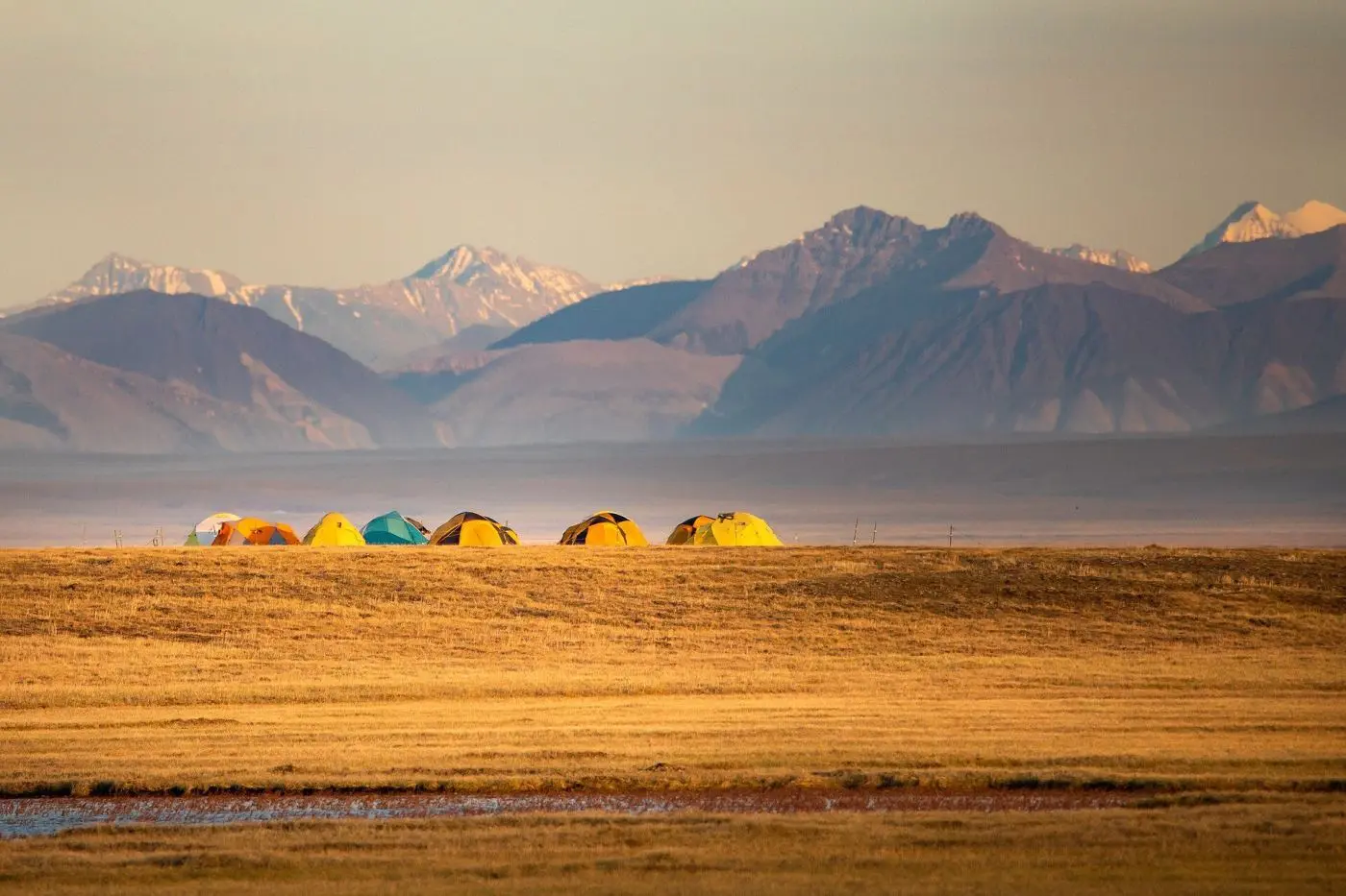 Camp under the stars