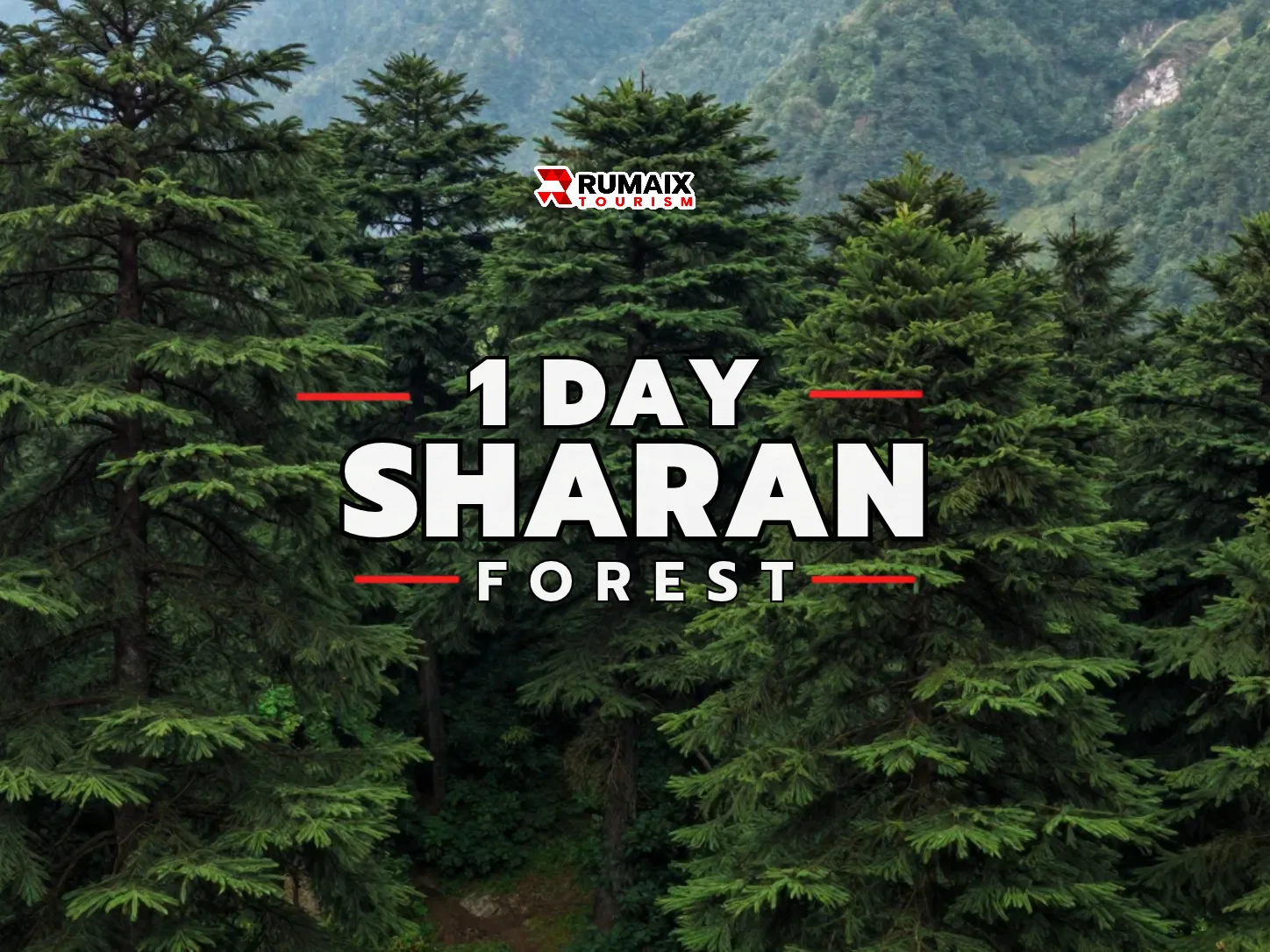 Sharan Forest & Waterfall Day Trip from Islamabad